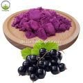 Meistverkaufte Bio -Maqui Berry Freeze Trockenpulver